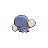 shiny (dorso)