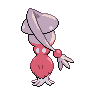 shiny (dorso)