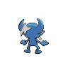 shiny (dorso)