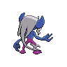 shiny (dorso)