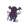shiny (dorso)