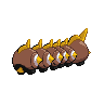shiny (dorso)