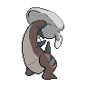 shiny (dorso)