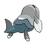 shiny (dorso)