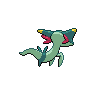 shiny (dorso)