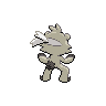 shiny (dorso)