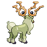 shiny (dorso)