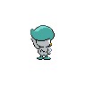 shiny (dorso)