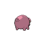 shiny (dorso)