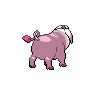 shiny (dorso)