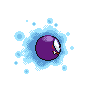 shiny (dorso)