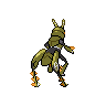 shiny (dorso)
