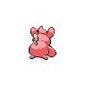 shiny (dorso)