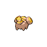 shiny (dorso)