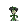 shiny (dorso)