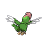 shiny (dorso)