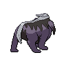 shiny (dorso)