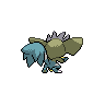 shiny (dorso)