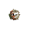 shiny (dorso)