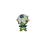 shiny (dorso)