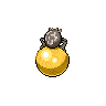 shiny (dorso)