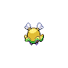 shiny (dorso)