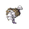shiny (dorso)