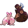 shiny (dorso)