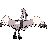 shiny (dorso)