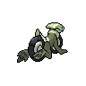shiny (dorso)