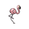shiny (dorso)