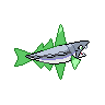 shiny (dorso)