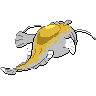 shiny (dorso)