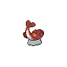 shiny (dorso)