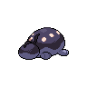 shiny (dorso)