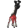 shiny (dorso)