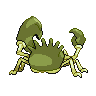 shiny (dorso)