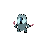 shiny (dorso)