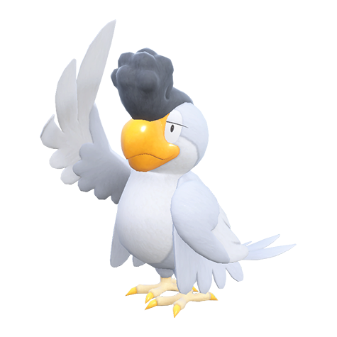 Squawkabilly White Plumage
