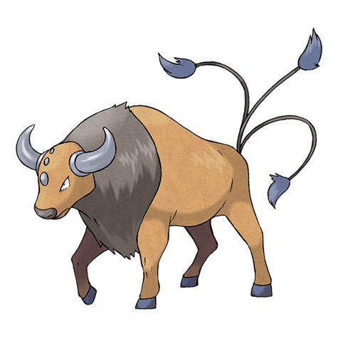 Tauros (Paldea-Aqua)