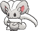 Cinccino
