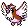 Pidgey