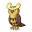 Noctowl