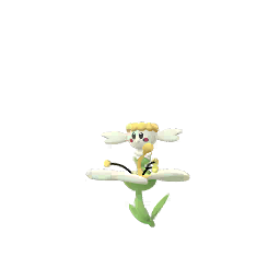 플라베베 (하얀꽃)