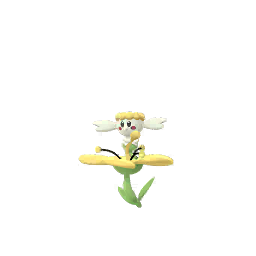 플라베베 (노란꽃)