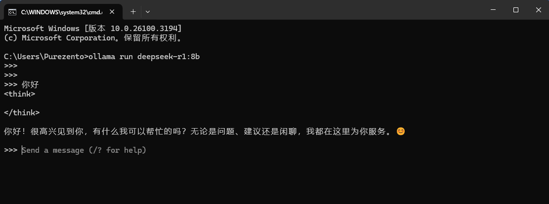 image-20250216212958497