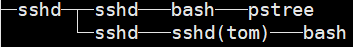 image-20220212135009446
