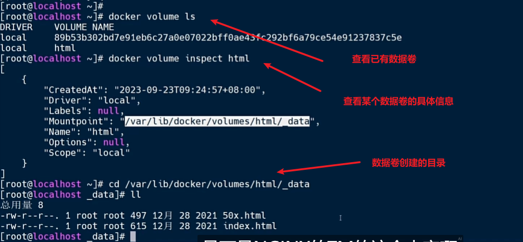 image-20240516223914233