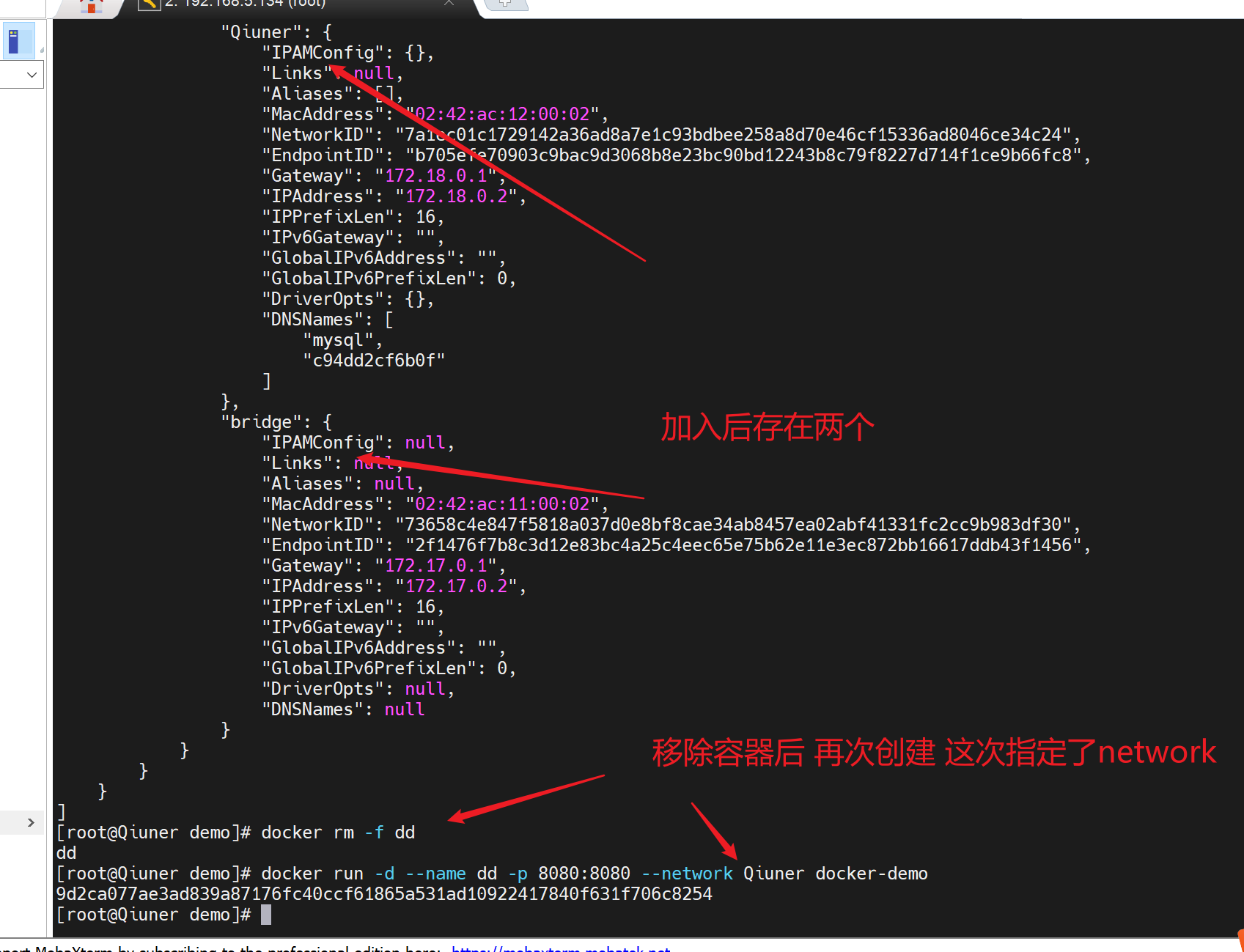 image-20240517111819695