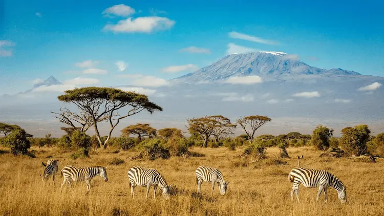 Climb Kilimanjaro 2027 Routes